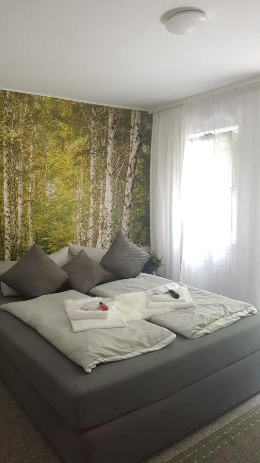 Pension Villa Pangea Bad Lauterberg Kültér fotó