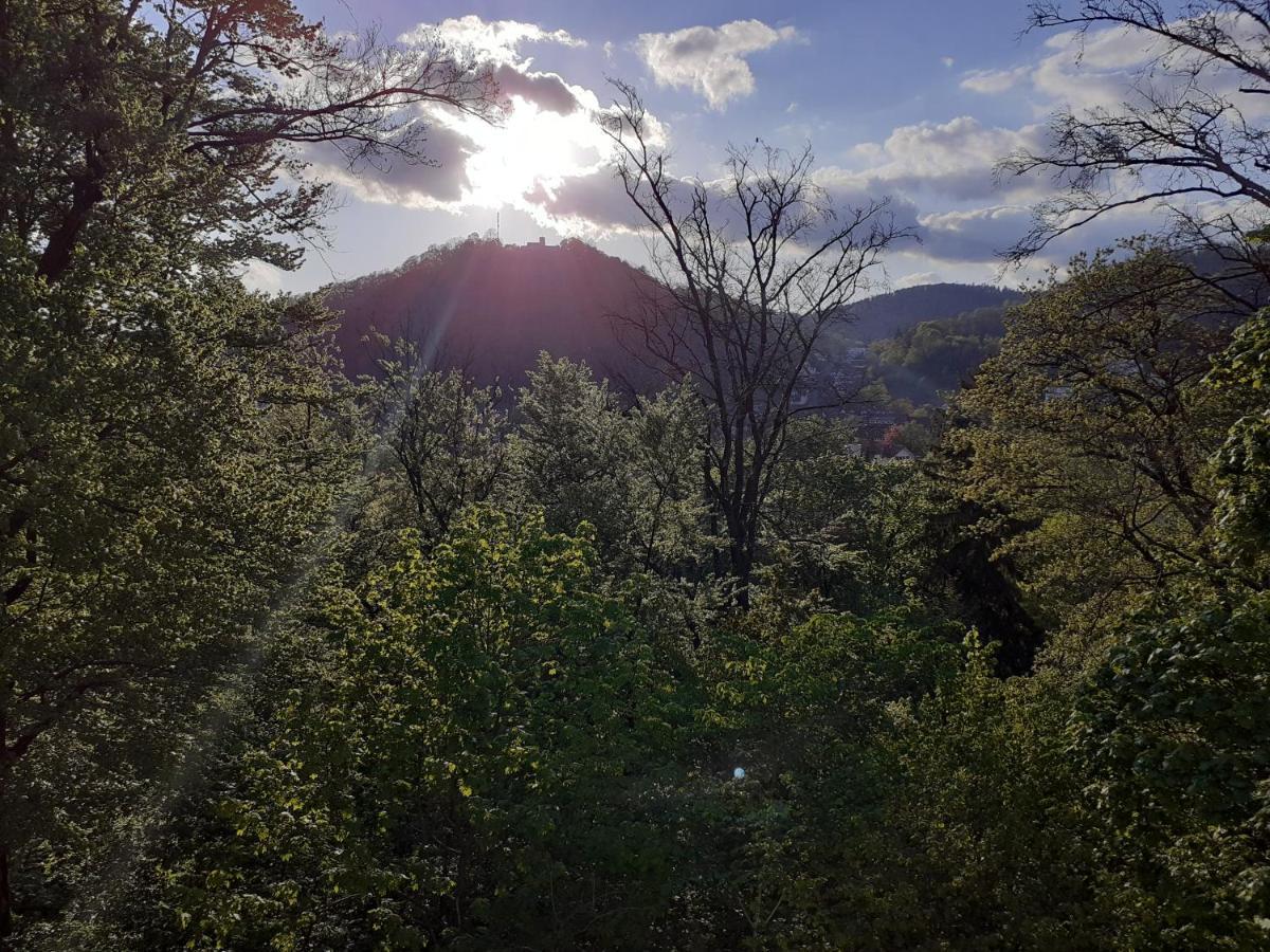 Pension Villa Pangea Bad Lauterberg Kültér fotó